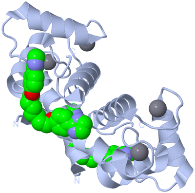 Image Biological Unit 1