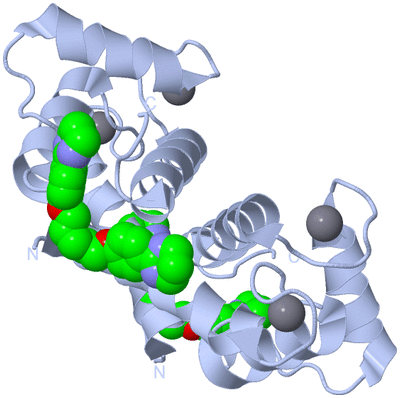 Image Biological Unit 1