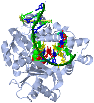 Image Biological Unit 1