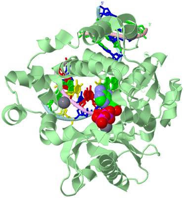 Image Biological Unit 2