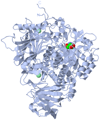 Image Biological Unit 1