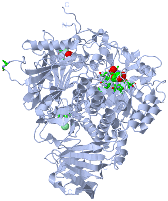 Image Biol. Unit 1 - sites