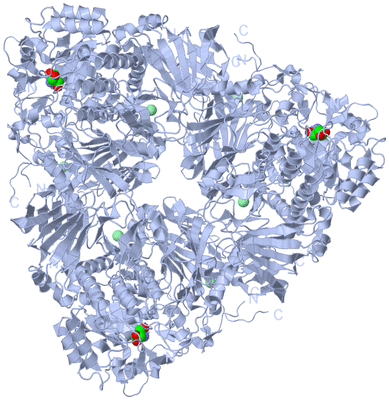 Image Biological Unit 2