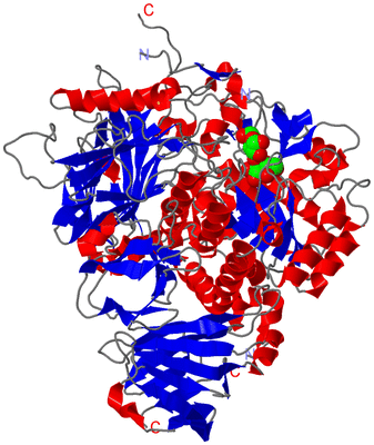 Image Asym./Biol. Unit