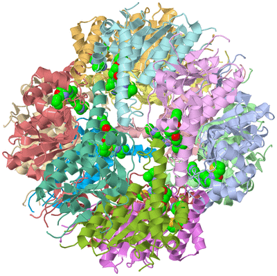 Image Asym./Biol. Unit