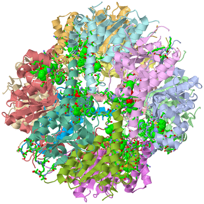 Image Asym./Biol. Unit - sites