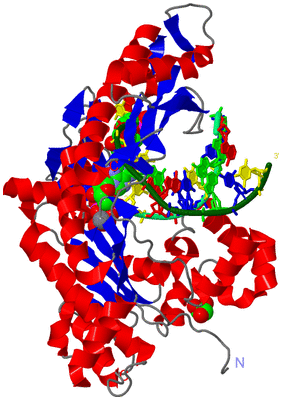 Image Asym./Biol. Unit