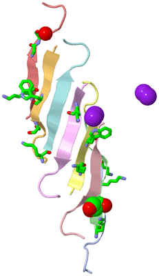 Image Asym./Biol. Unit - sites