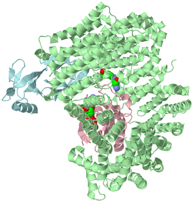 Image Biological Unit 1