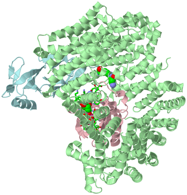 Image Biol. Unit 1 - sites