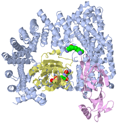 Image Biological Unit 2