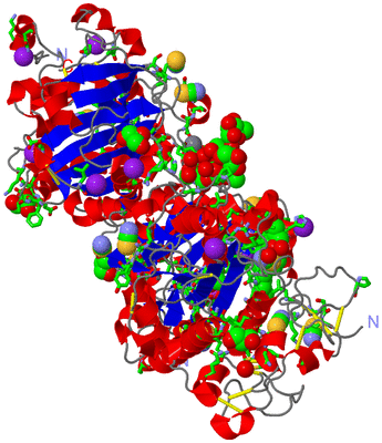 Image Asym./Biol. Unit - sites