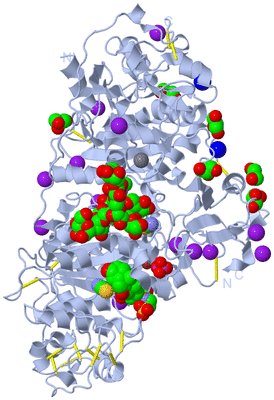 Image Biological Unit 1