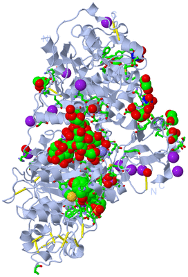 Image Biol. Unit 1 - sites