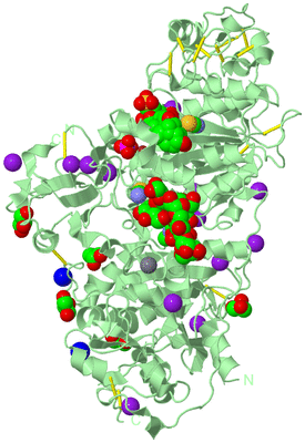 Image Biological Unit 2