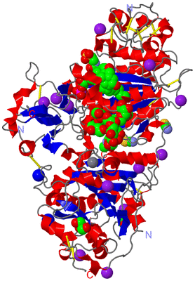 Image Asym./Biol. Unit