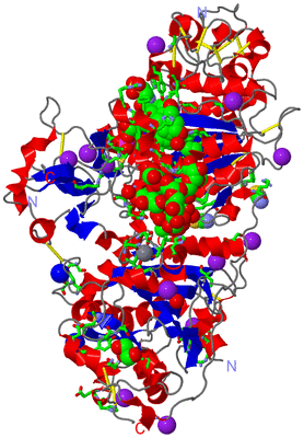 Image Asym./Biol. Unit - sites