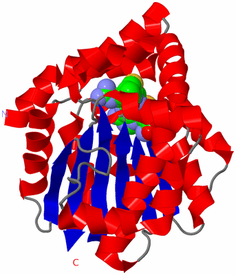 Image Asym./Biol. Unit