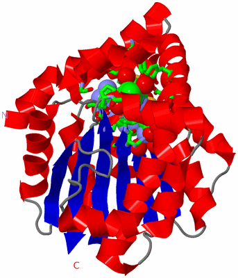 Image Asym./Biol. Unit - sites