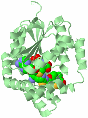 Image Biological Unit 2