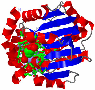 Image Asym./Biol. Unit - sites