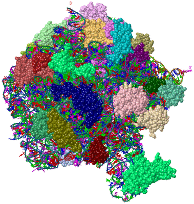 Image Asym./Biol. Unit