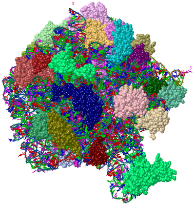 Image Asym./Biol. Unit