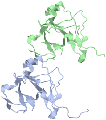 Image Asymmetric Unit