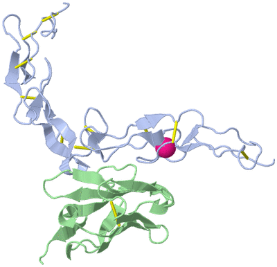 Image Biological Unit 1