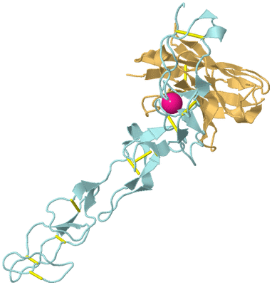 Image Biological Unit 3