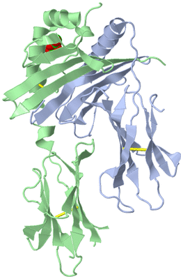 Image Biological Unit 1