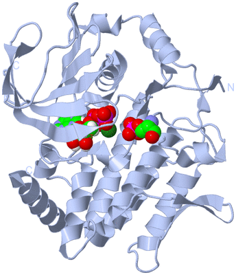 Image Biological Unit 1