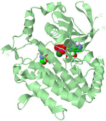 Image Biological Unit 2