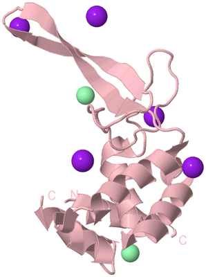 Image Biological Unit 3