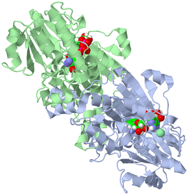 Image Asym./Biol. Unit