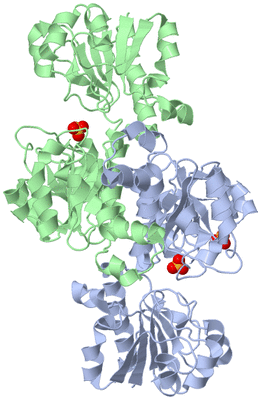 Image Biological Unit 1