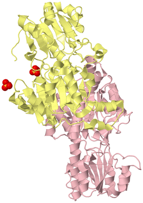 Image Biological Unit 2