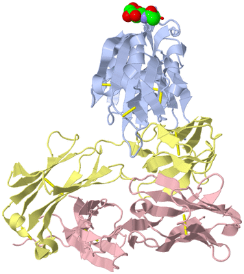 Image Biol. Unit 1 - sites