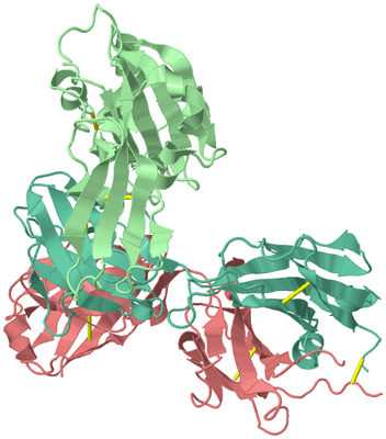 Image Biological Unit 2