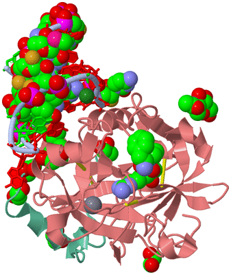 Image Asym./Biol. Unit