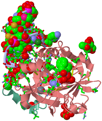 Image Asym./Biol. Unit - sites