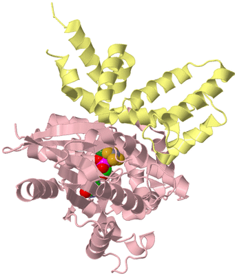 Image Biological Unit 2