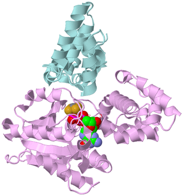 Image Biological Unit 3