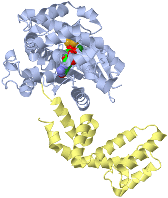 Image Biological Unit 4