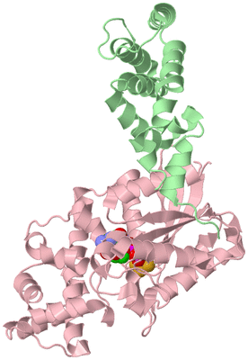 Image Biological Unit 5