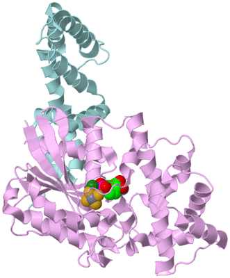 Image Biological Unit 6