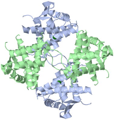 Image Biological Unit 3