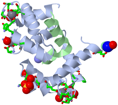 Image Biol. Unit 1 - sites