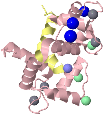 Image Biological Unit 2