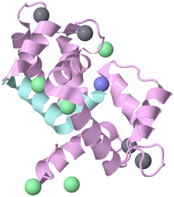 Image Biological Unit 3